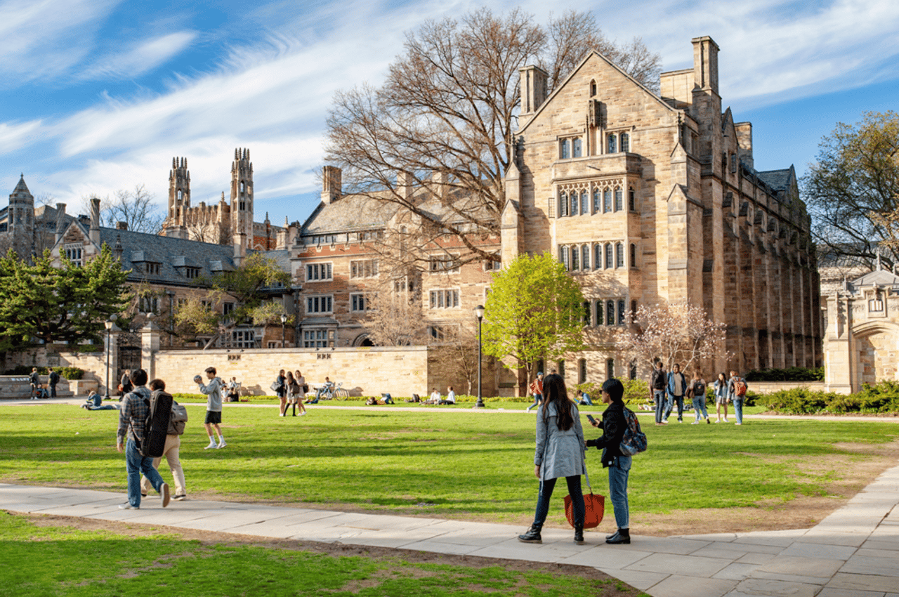 best yale college essays