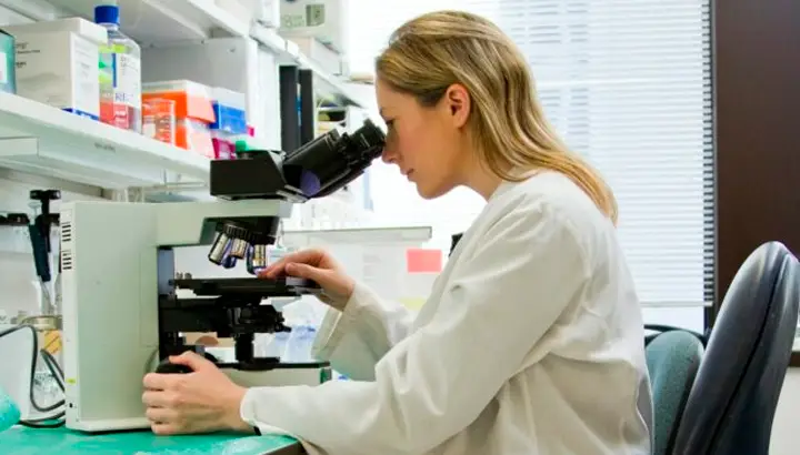 PhD o Doctorado en Estados Unidos