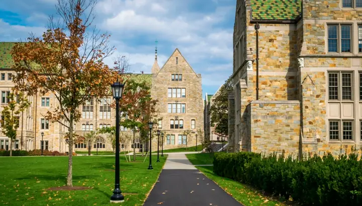 Estudia una carrera de STEM en Estados Unidos