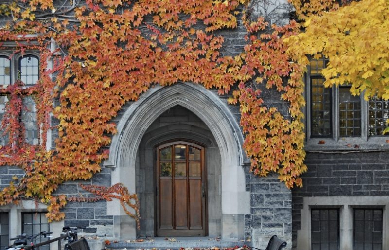 El clima y las estaciones del año dentro del campus