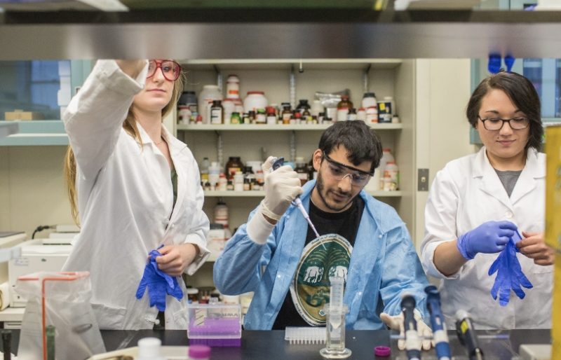 TaPosgrado- todo lo que necesitan tus cartas de recomendación para una buena postulación